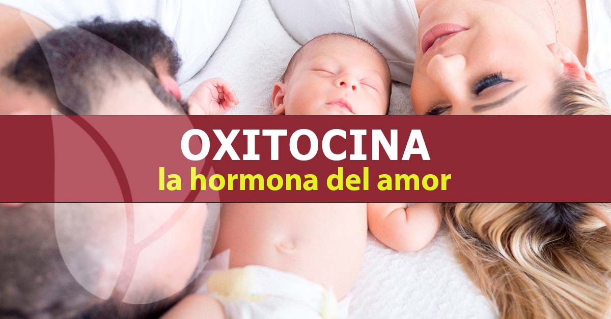 Oxitocina La Hormona Del Amor Clínica Integral Naturalmente 9771